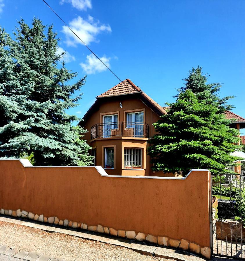 Harmonia Vendeghaz Apartment Balatonalmadi Bagian luar foto